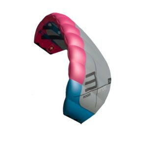 Ensis Parawing Roger 3 1.jpg